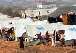 Yemeni refugees killed in UN-run camp 