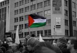 Filistin Arapların Birinci Sorunu Değil Mi? 