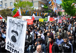 Istanbul holds rally in support of Bahraini people