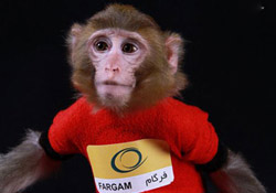 İran Uzaya İkinci Maymunu Gönderdi