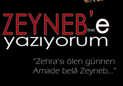 Zeyneb'e Yazıyorum...