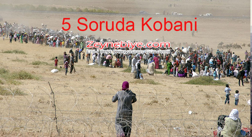 Kobani Neden Bu Kadar Önemli? 5 Soruda Kobani 