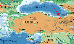 Irak Türkmenleri,  Ankara'dan Birlik Çağrısı Yaptı