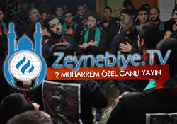 Zeynebiye Tv Bu Akşam Güneşli'de 